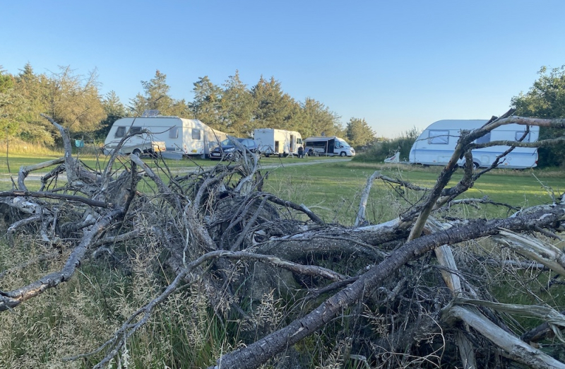 Camping ved Blokhus midt i naturen
