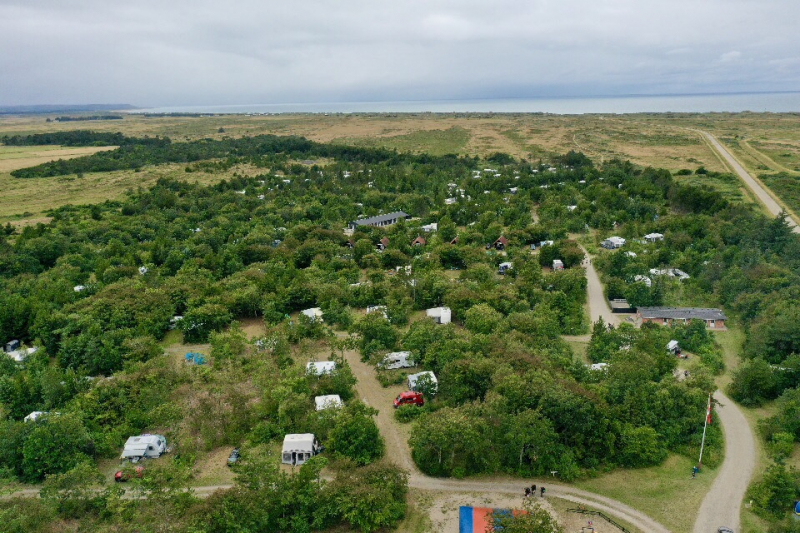 Du får følelsen av å bo midt i skogen, samtidig som du kan høre bruset fra Nordsjøen.
