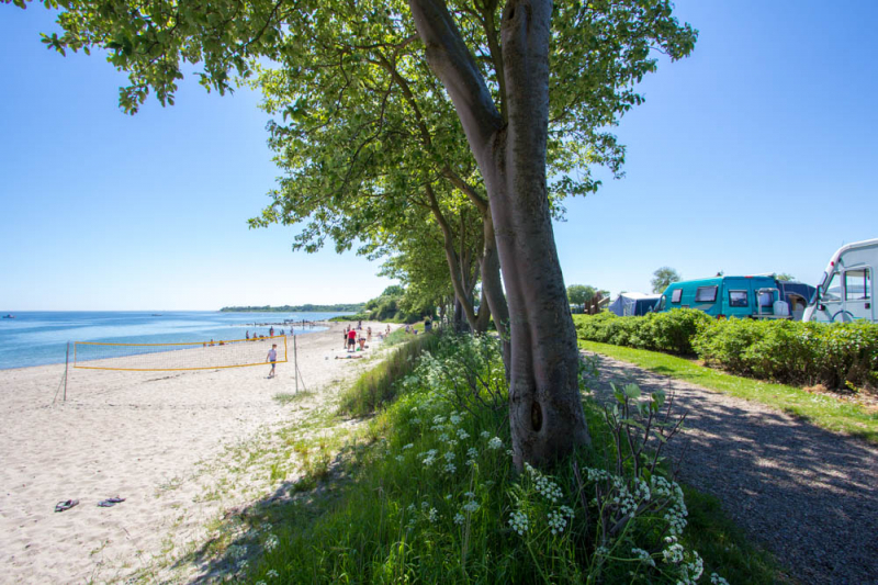 Gammelbro Camping er en rolig og attraktiv campingplass. Vi har aktiviteter for både små og store, og beliggenheten helt ut mot Lillebælt gir et vell av muligheter.